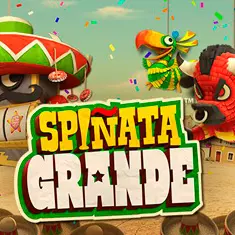spinata grande spinata grande